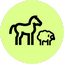Chevaux, moutons et chameaux